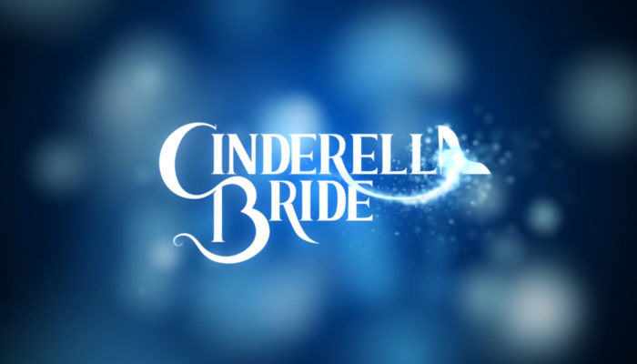 The Cinderella Bride title screen animation.