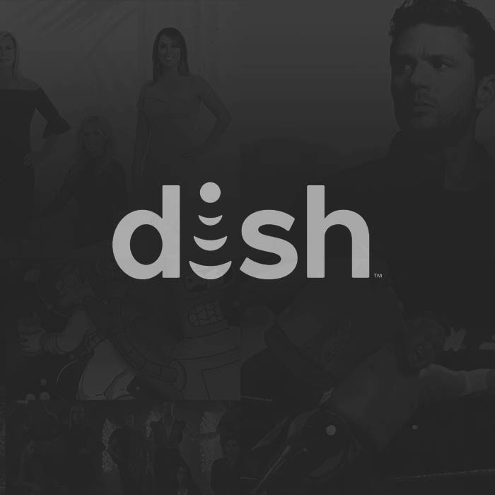 Dish Biggest Fan